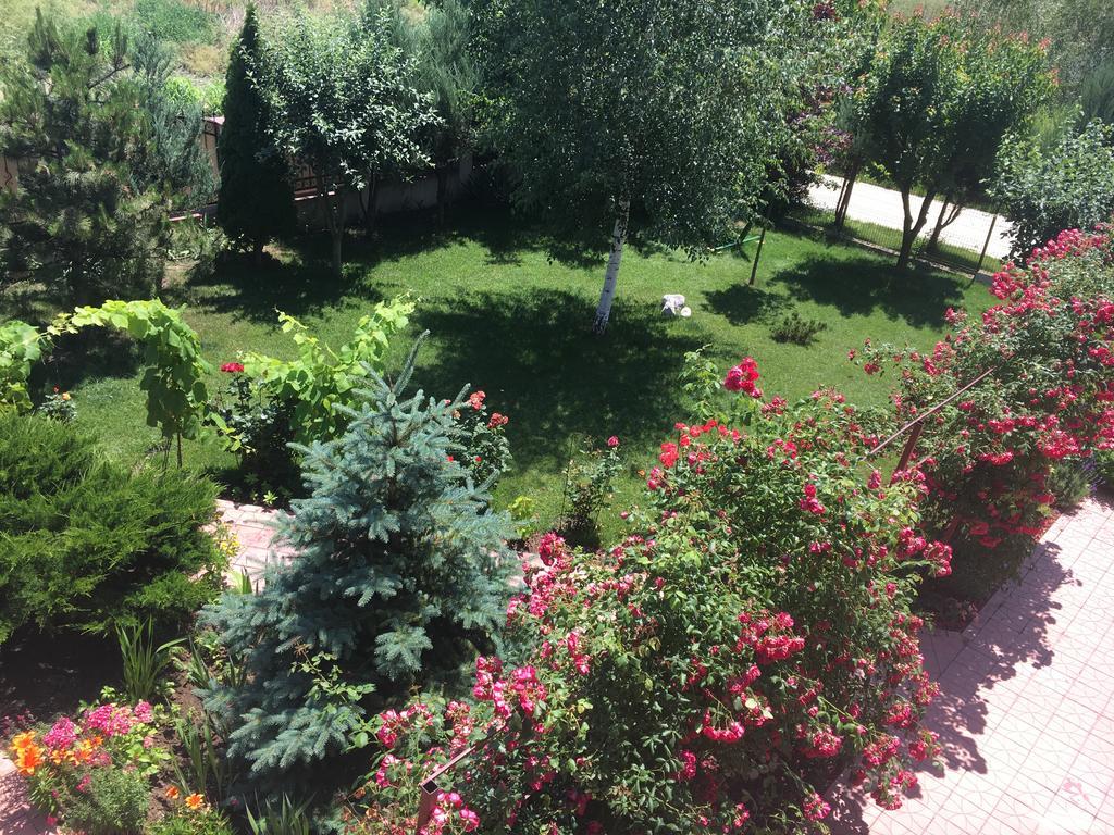 מלון אפורי נורד Vila Ann מראה חיצוני תמונה